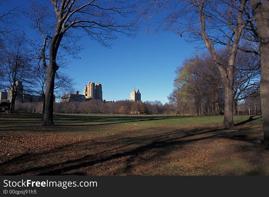 Nice view from Central Park. Nice view from Central Park