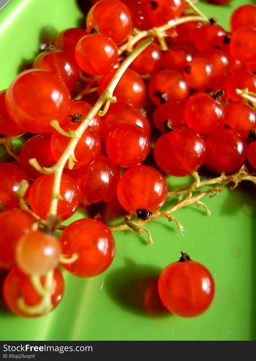 Fresh Red Currant