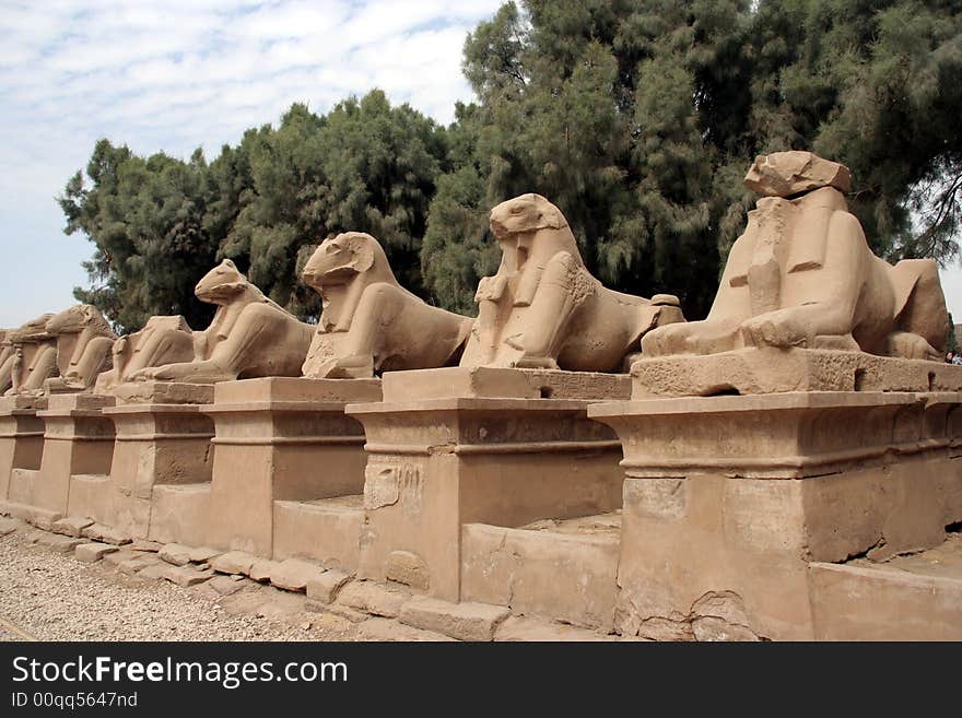 Sheeps statues in Karnak temple, Luxor, Egypt.