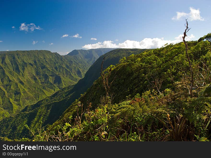 View of the landscape in Kokee State Park on the island of Kauai, Hawaii.