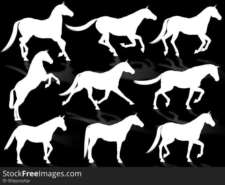 Black horse silhouettes in different poses and attitudes. Black horse silhouettes in different poses and attitudes