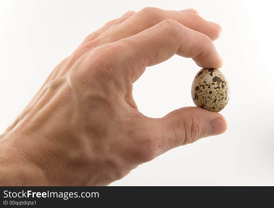 Quail Egg In Fingers