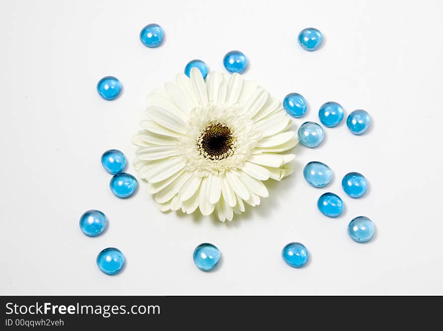 A white flower with blue glass stone decoration for special occasions