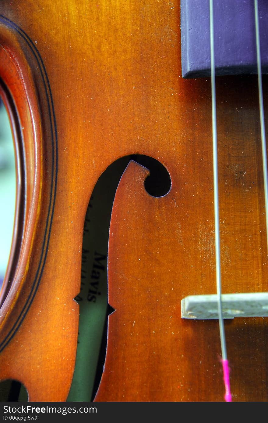 The wooden violin. Macro. The strings.