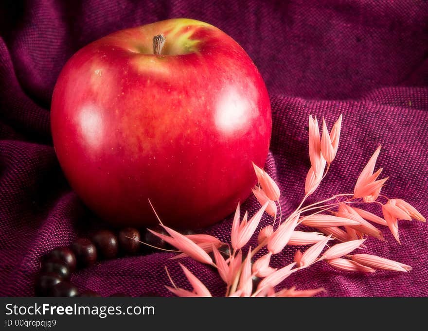 Apple ikebana necklace