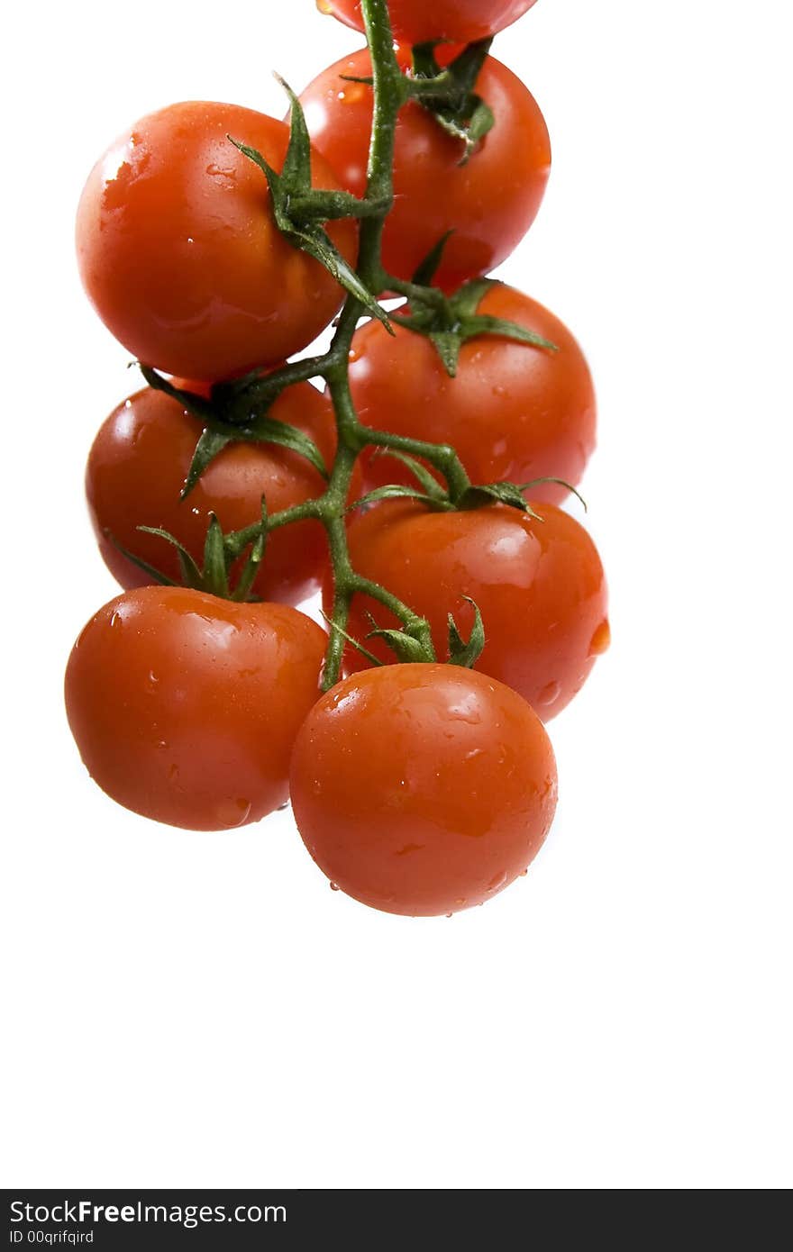 Hanging tomatoes with water drops on white background