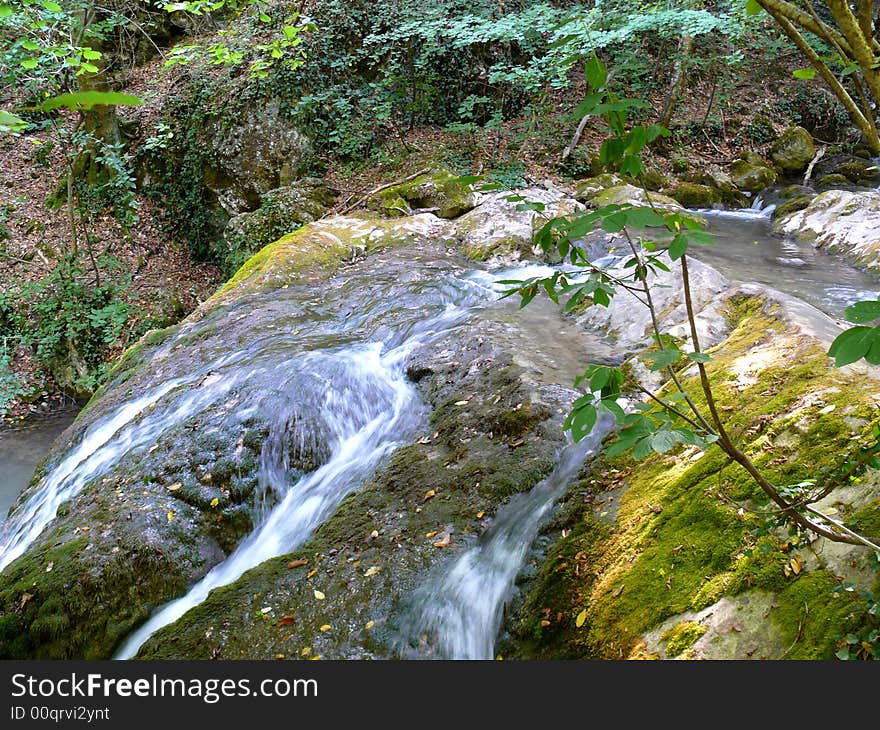 Mountain stream proceeding through a wood