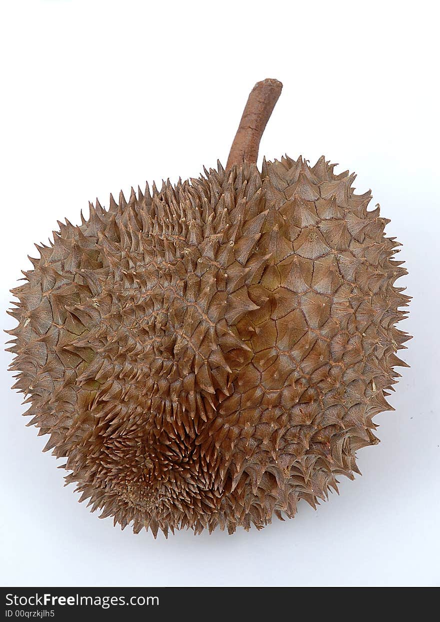 The spiky fruit called the Durian otherwise known as the king of the fruits. Inside the thorny exterior lies a creamy fleshy fruit that smells rather pungent. Isolated on white.