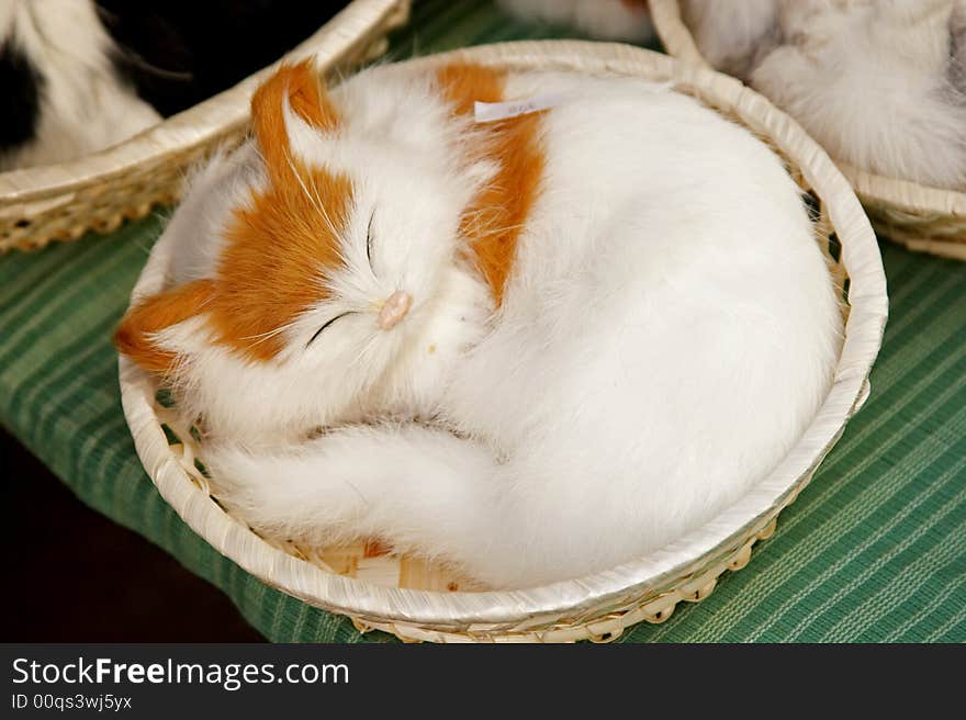 Cute Kitten curled up in basket. Cute Kitten curled up in basket