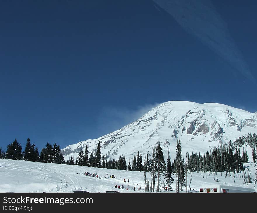 Mt Rainier From Paradise