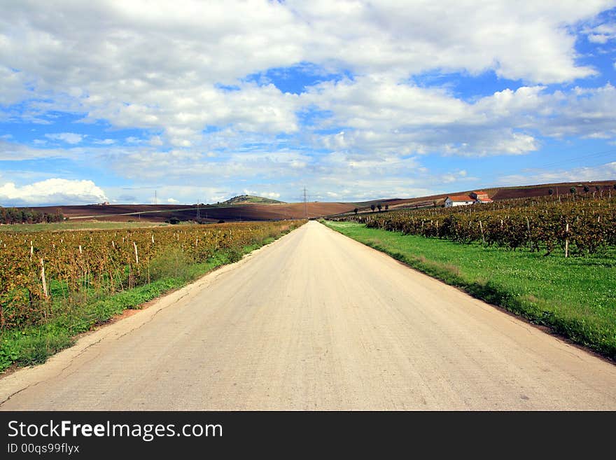 Straight line across county. Road in the autumn vineyards, green & gold Country. Autumnal travel background. Sicily. Straight line across county. Road in the autumn vineyards, green & gold Country. Autumnal travel background. Sicily