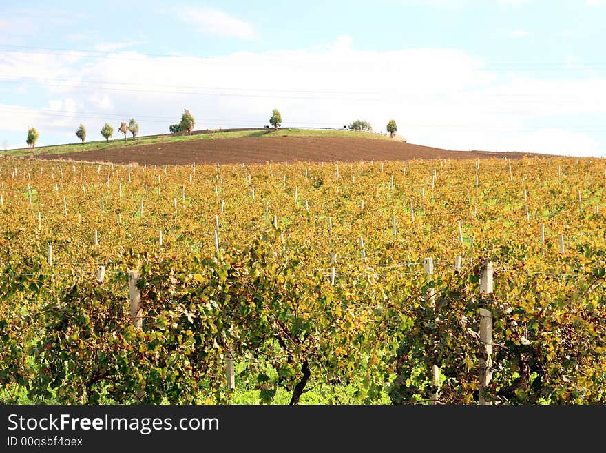 Beautiful autumn country landscape. cultivated land, hill with a way for the farm and blue sky & clouds. Sicily, Italy. Beautiful autumn country landscape. cultivated land, hill with a way for the farm and blue sky & clouds. Sicily, Italy