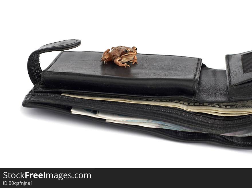 Frog on the wallet