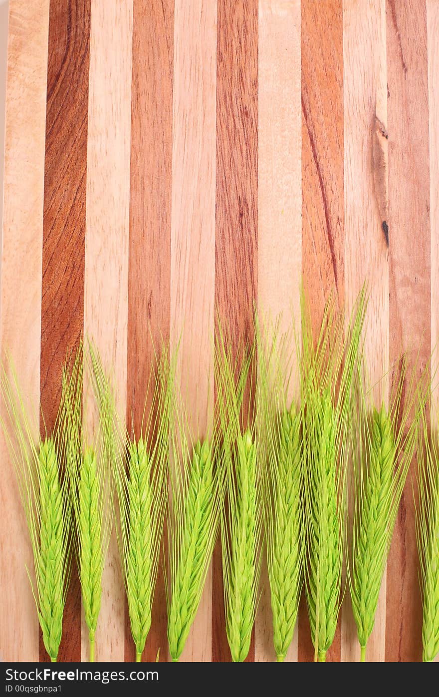 Kitchen board with green corn - copy space