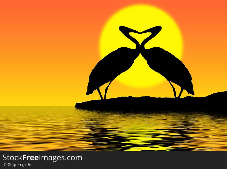 Herons in love and sunset