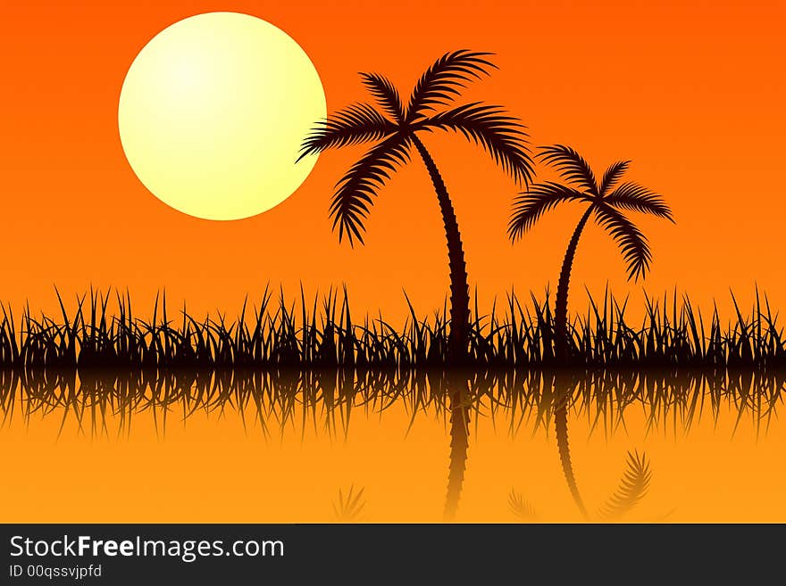 Vector illustration of tropic sunset