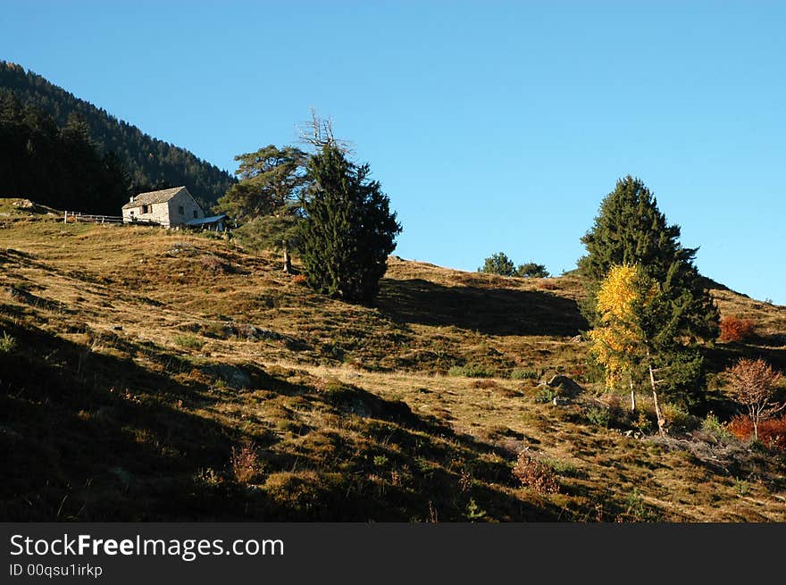 Autumn landscape