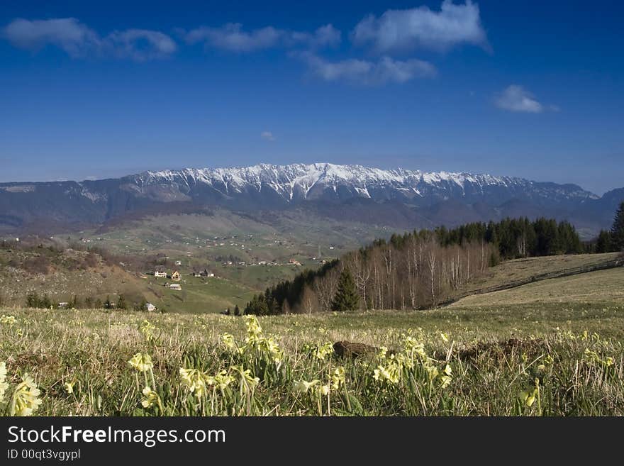 Mountain spring landscape