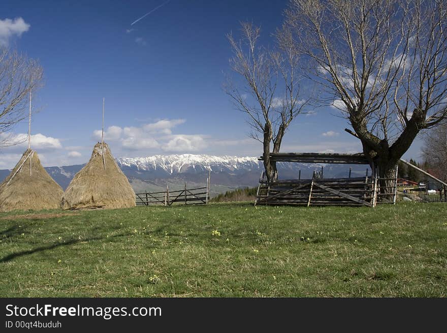 Mountain Spring Landscape