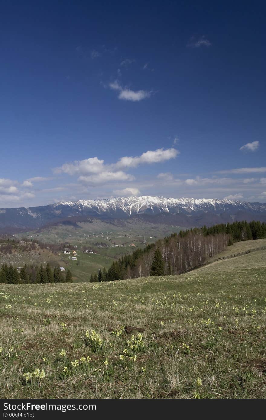 Mountain Spring Landscape