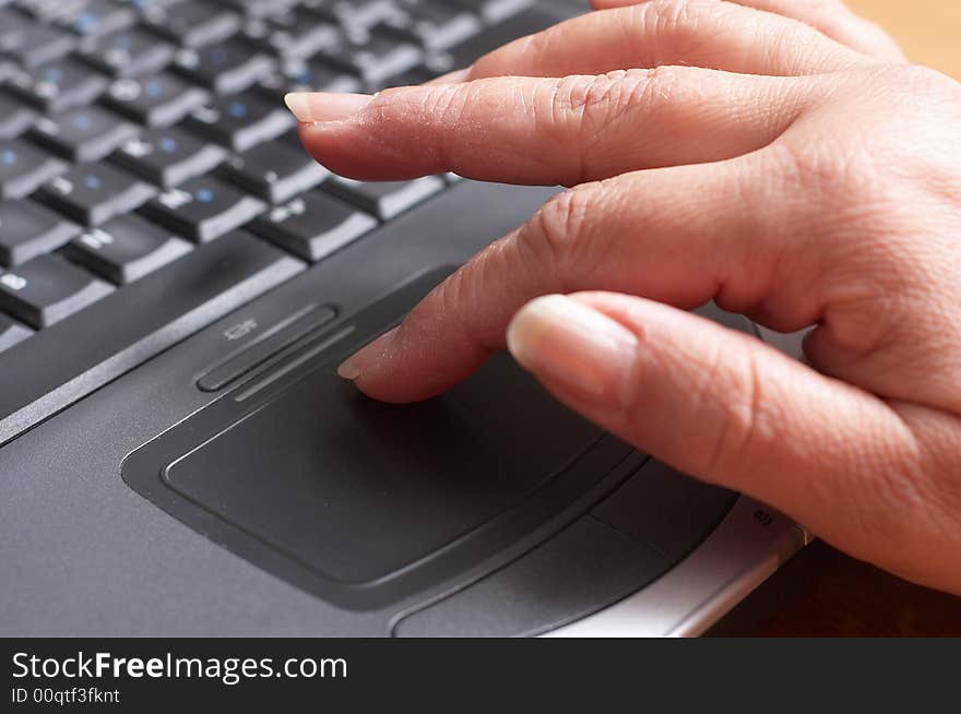 Mid age woman's hands on the keyboard of laptop in the office. Mid age woman's hands on the keyboard of laptop in the office