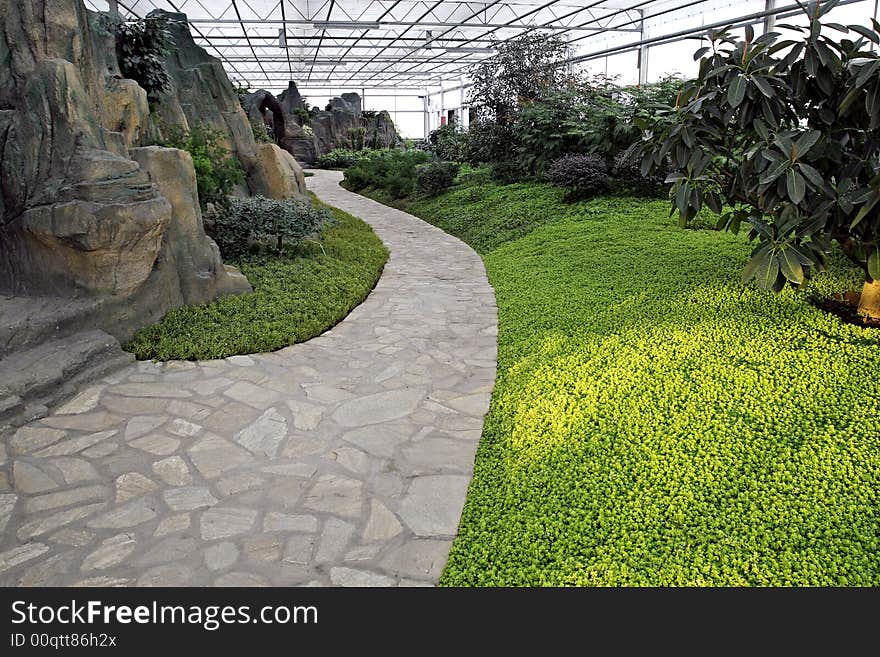 Scenery in the greenhouse.