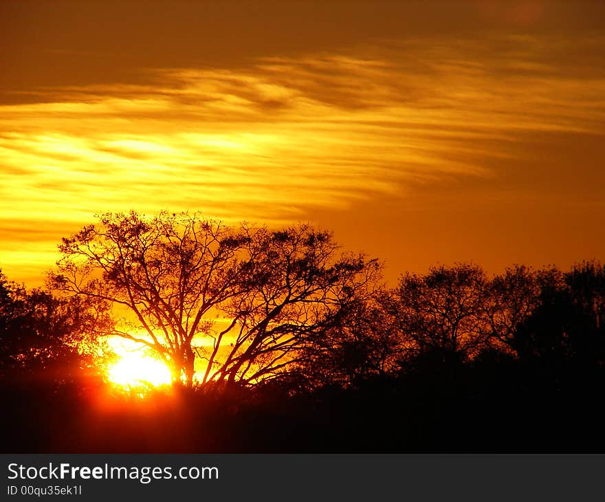 Sunset in jungles. Florida, USA