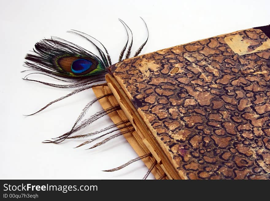 Old book and peacock plume as bookmark on white. Old book and peacock plume as bookmark on white