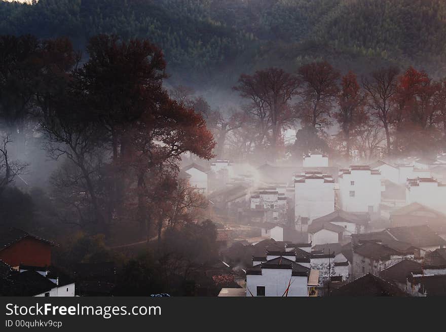 A small village with old maples trees in morning fog. A small village with old maples trees in morning fog