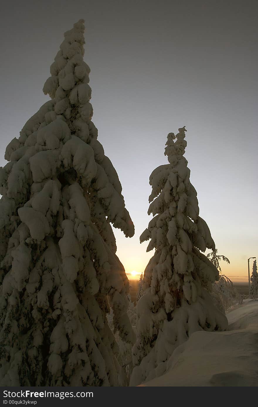 Lapland winter wonderland