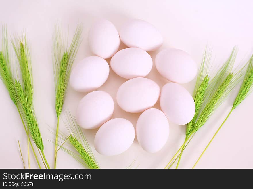 White eggs in the green corn