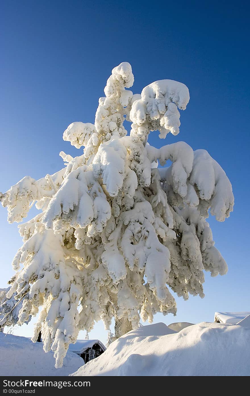 Lapland Winter Wonderland