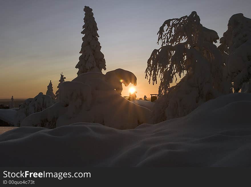 Lapland winter wonderland