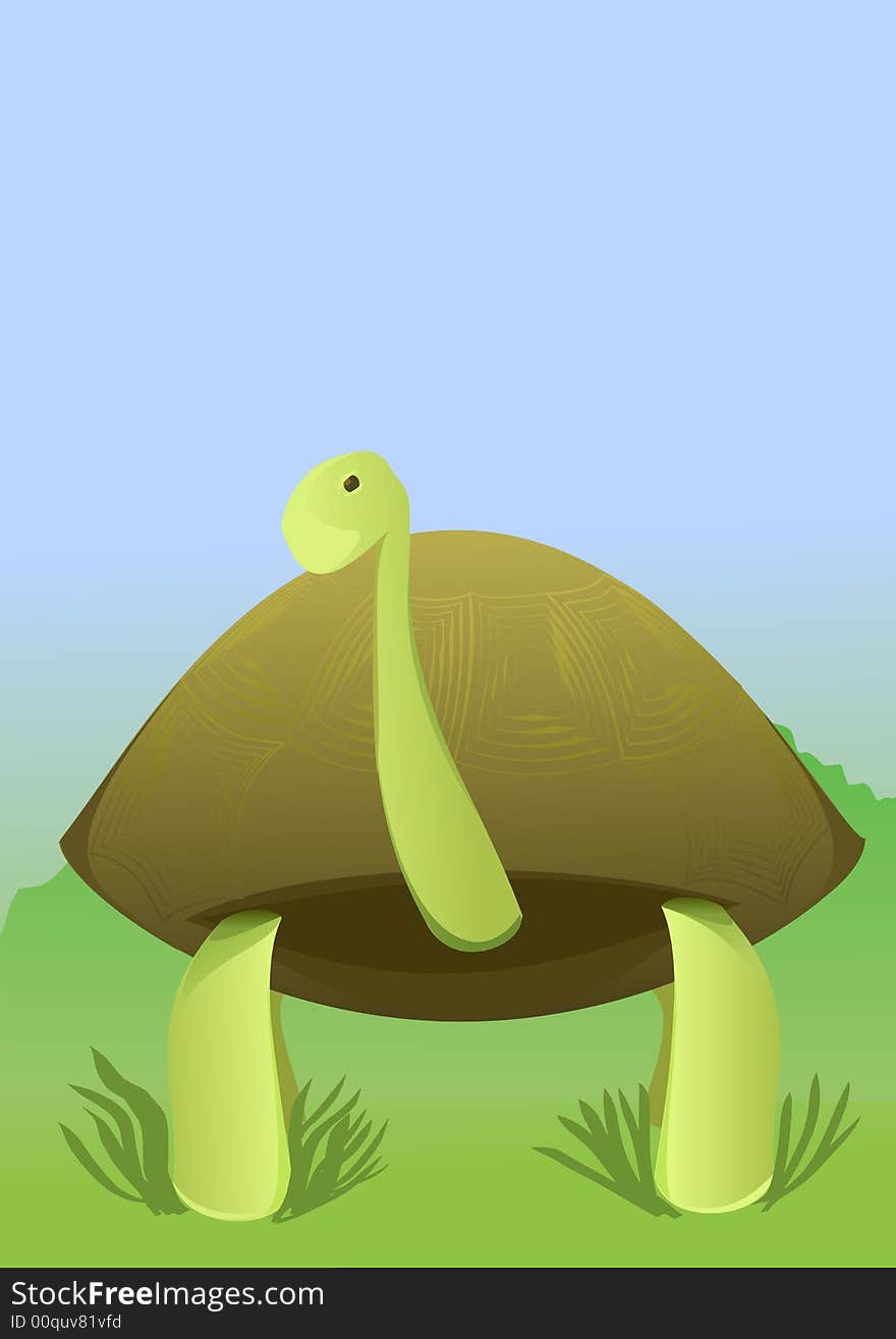 Tortoise