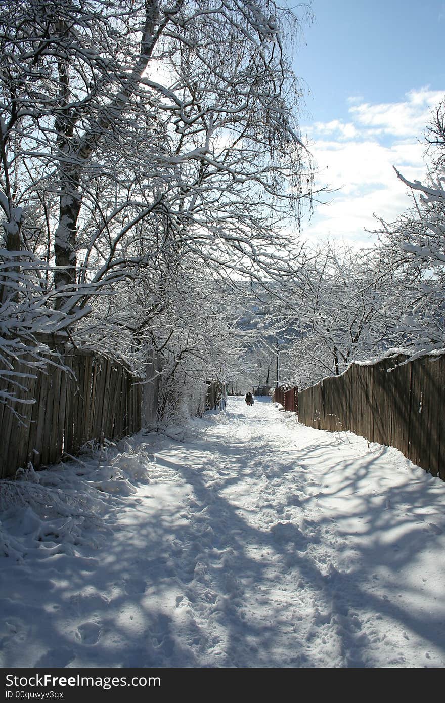 Frozen winter road in the village