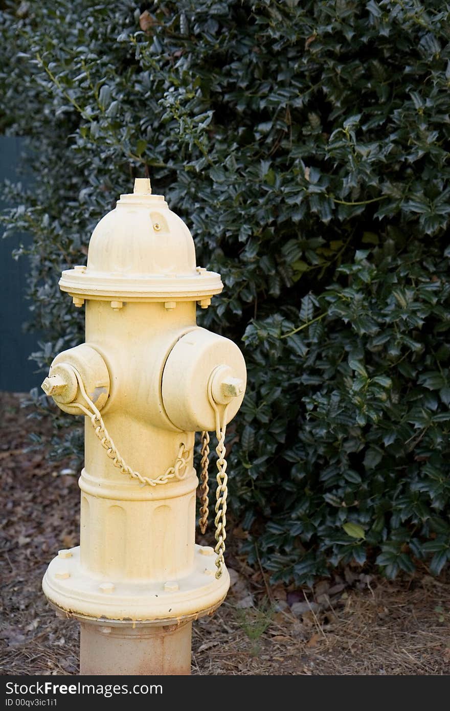 Dirty Yellow Hydrant