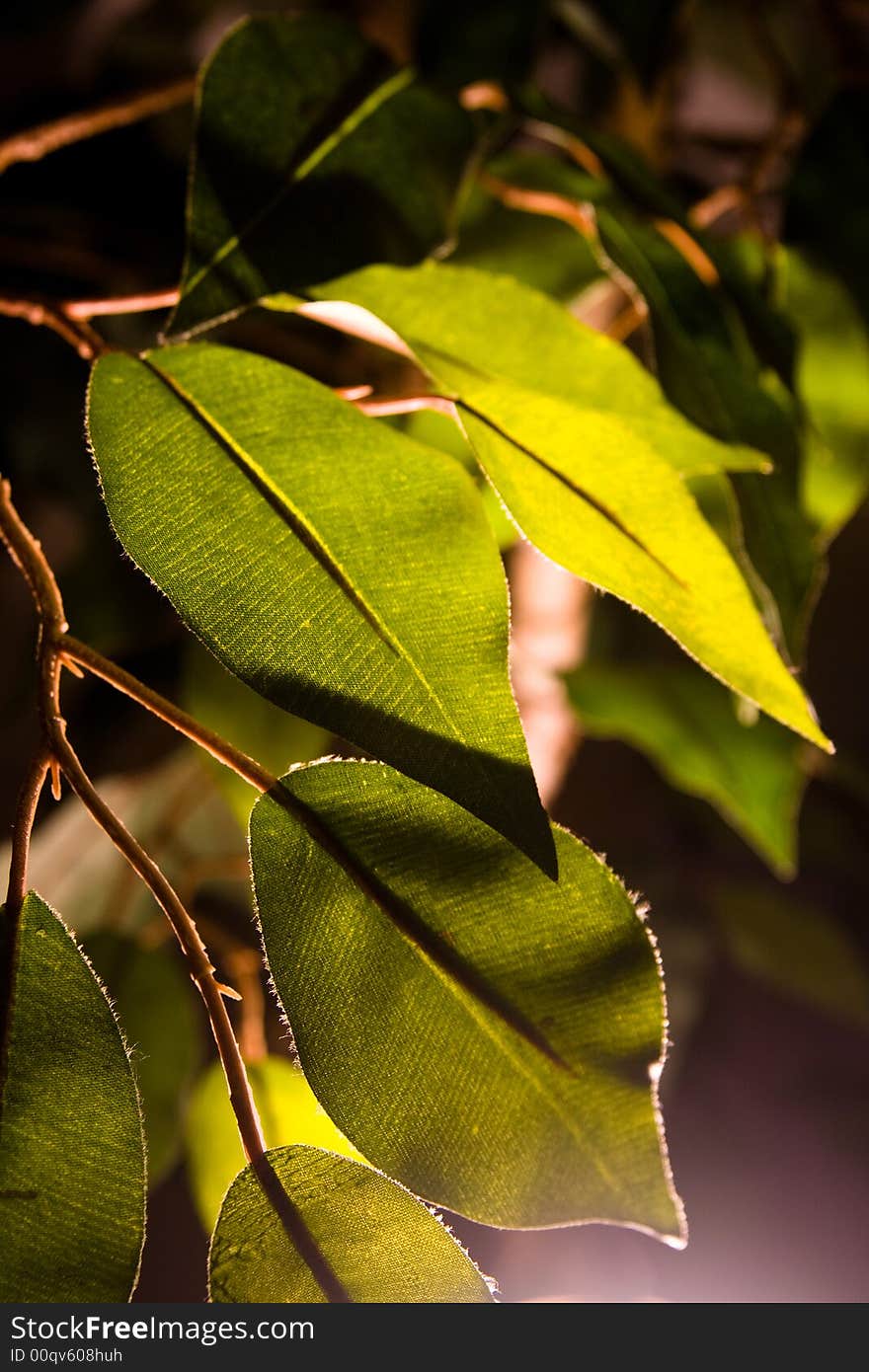 Green plastic plant leaves under the light macro. Green plastic plant leaves under the light macro