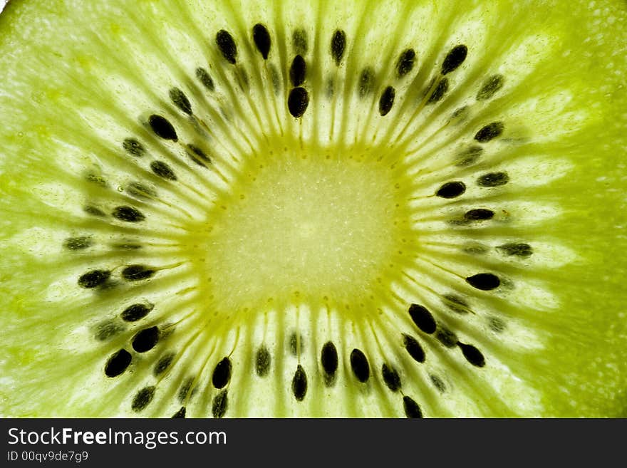 Kiwi with saturated colours in a white baground