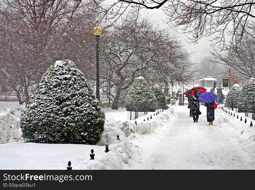 Stock image of a snowing winter at Boston, Massachusetts, USA. Stock image of a snowing winter at Boston, Massachusetts, USA