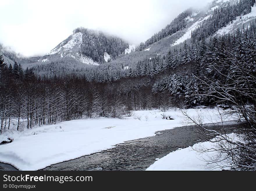 Mountain Stream