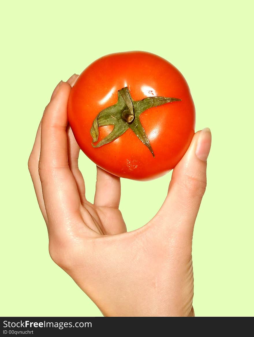 Human hands with vegetable