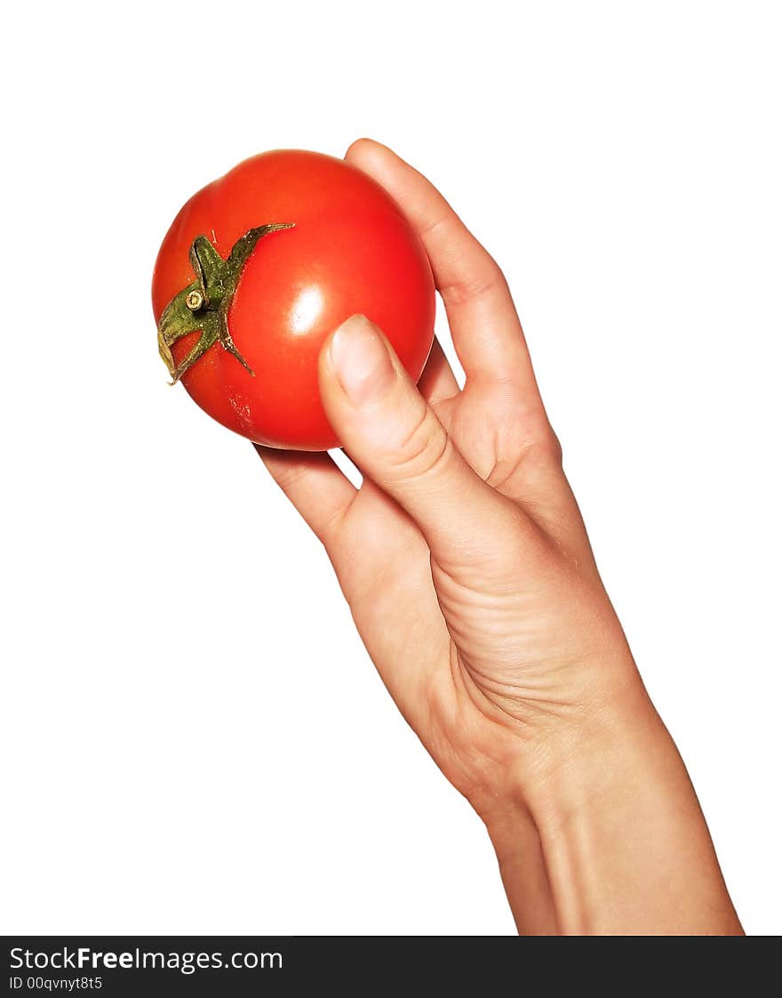 Human hands with vegetable