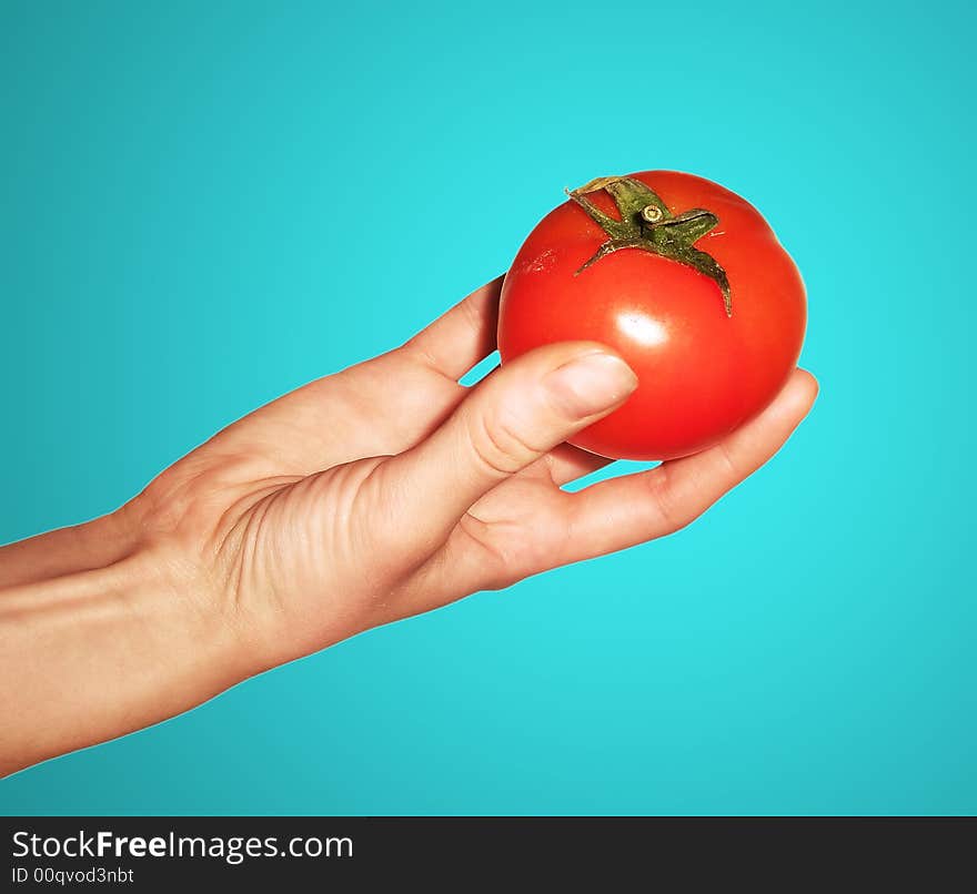 Human hands with vegetable