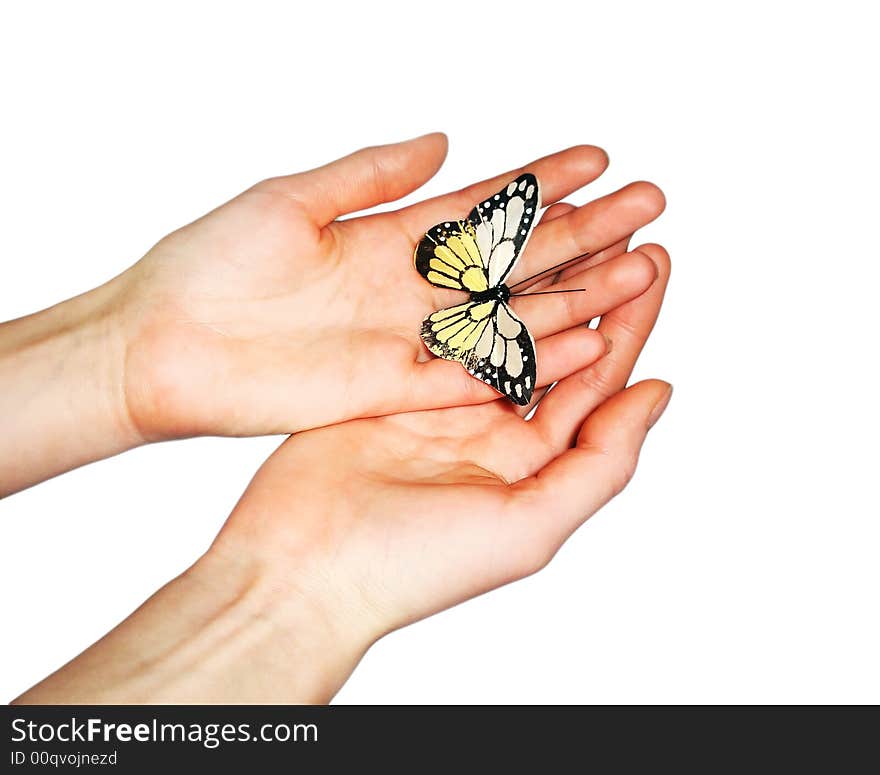 Human hands with vegetable