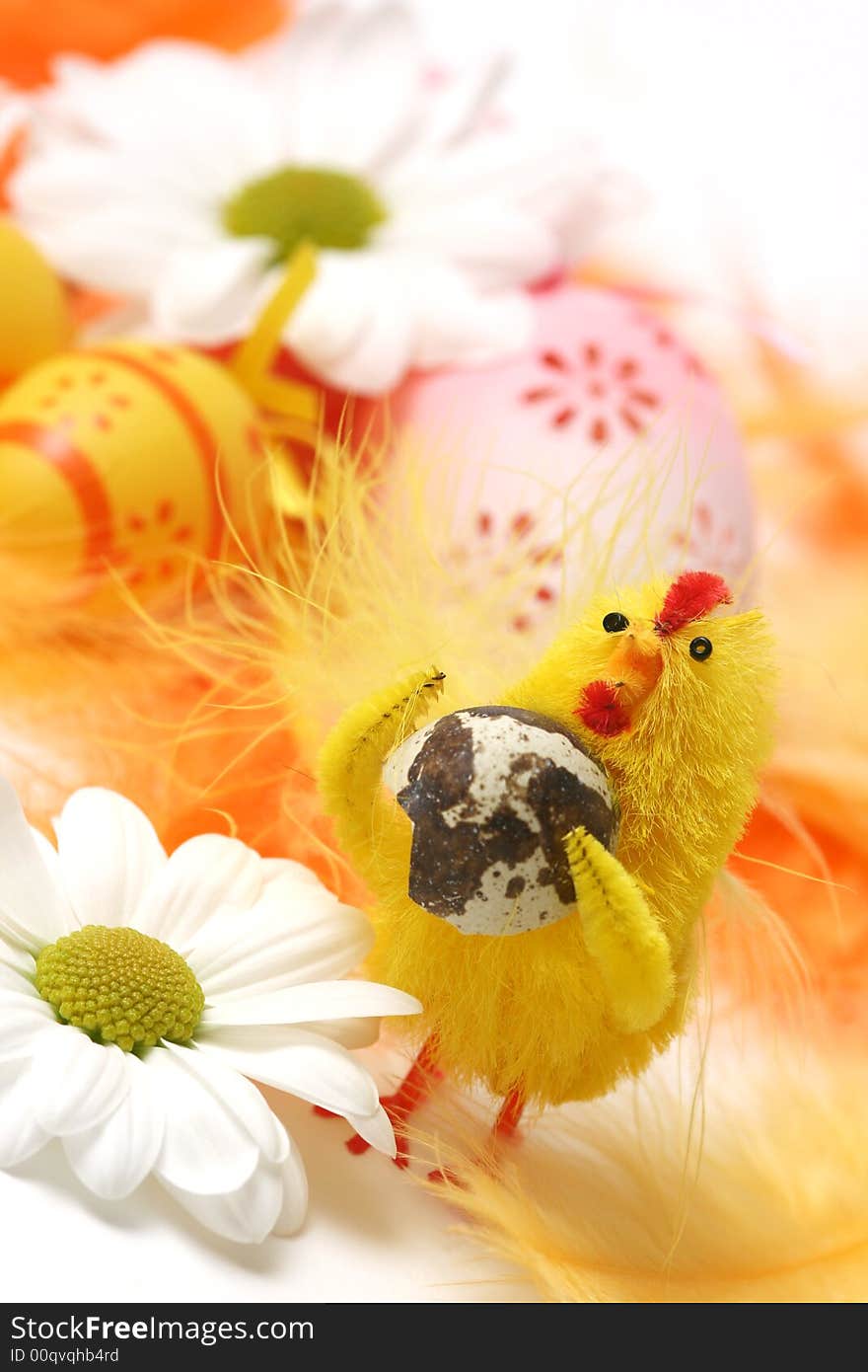 Easter motive.Chick and egg with white floewr on easter background.