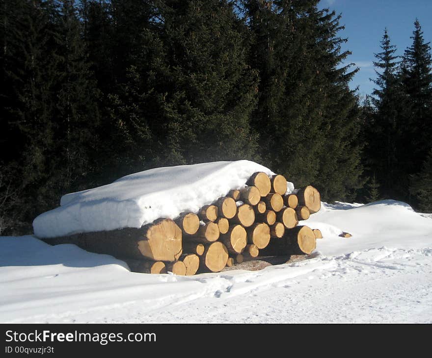 Stack of trunks