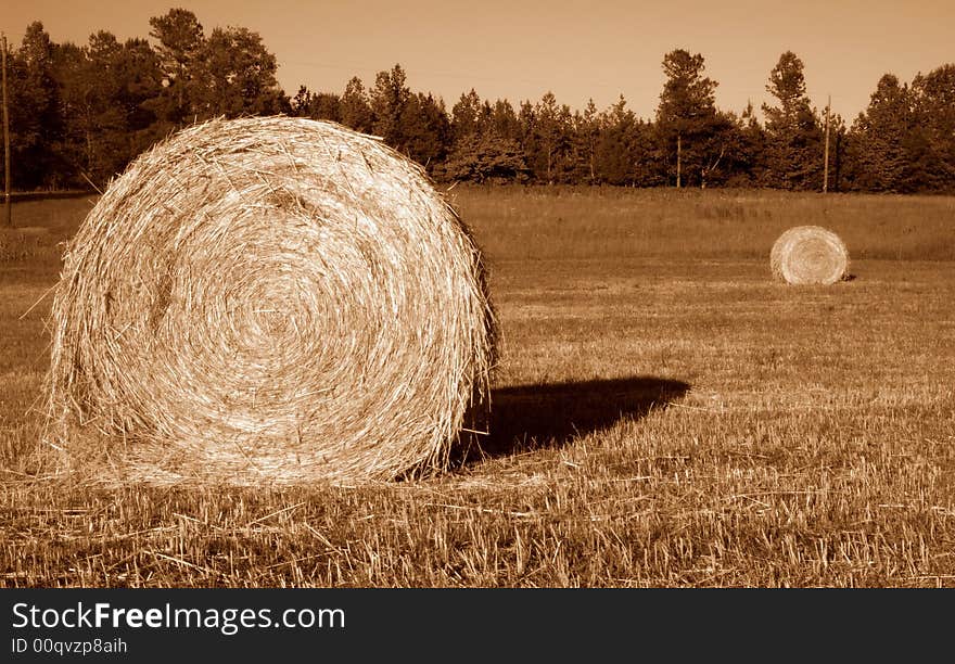 Two round Hay bales in farm field, sepia toned. Two round Hay bales in farm field, sepia toned