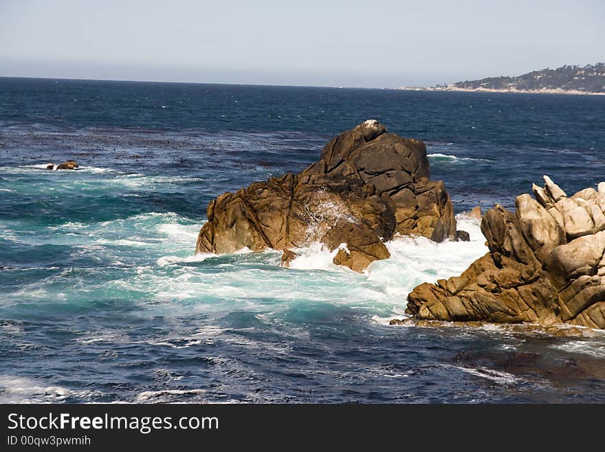 Point Lobos