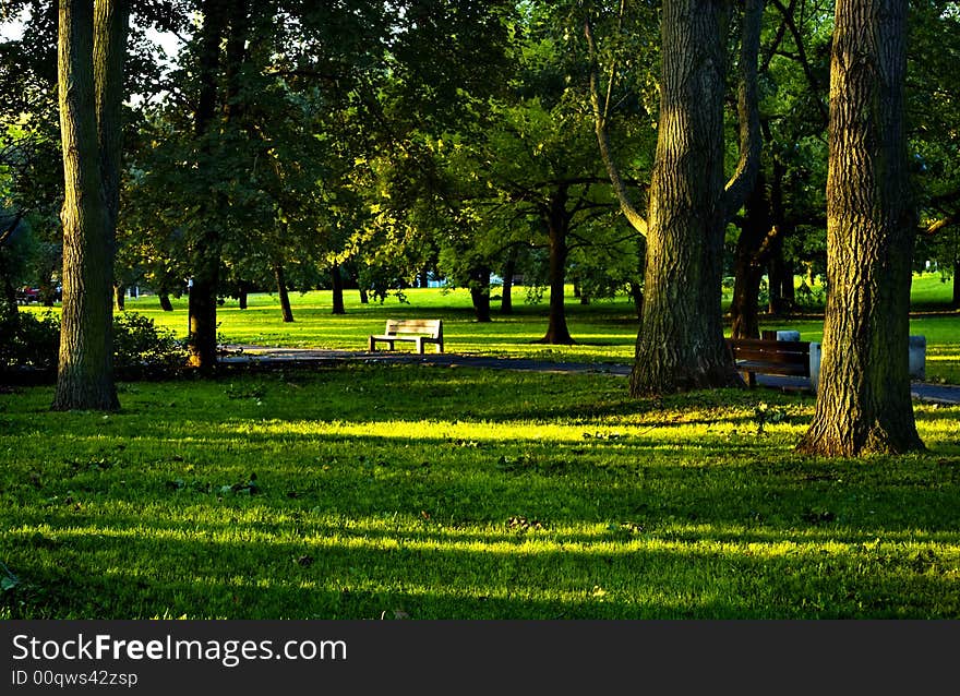 The chair、meadows &  leaves shone in the sunlight. The chair、meadows &  leaves shone in the sunlight