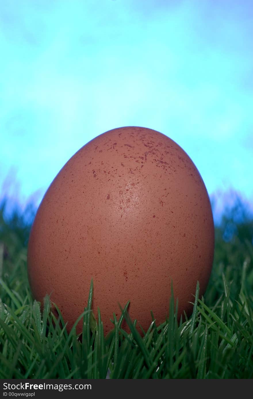 Brown egg in the grass against a blue background